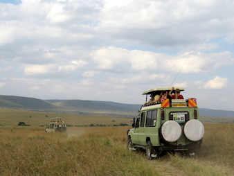 Our beautiful land cruisers photographed in Masai Mara national park in Kenya