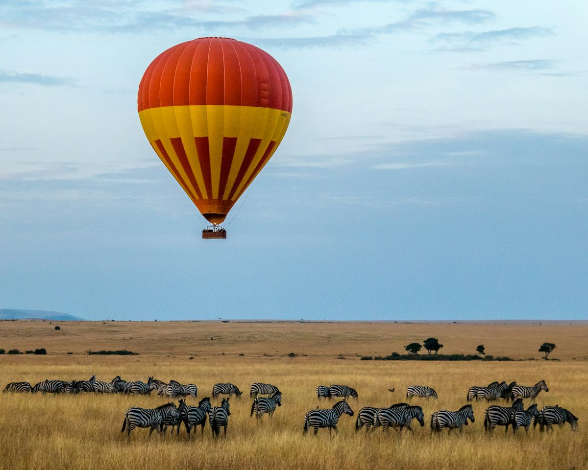 Luxury services throughout the journey