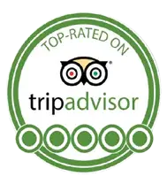 Trip advisor official logo