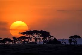 Angara tours clients in the elegant savannah early morning sunrise just before they start their game drive in Murchison falls national park, Uganda